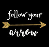 Follow Your Arrow Glitter Short Sleeve V-Neck